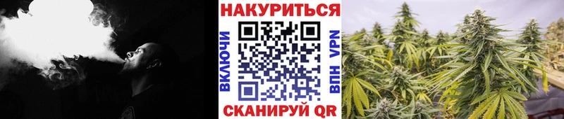 дарк нет наркотические препараты  Сургут  Бошки марихуана LSD WEED 